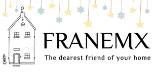 FraneMX logo