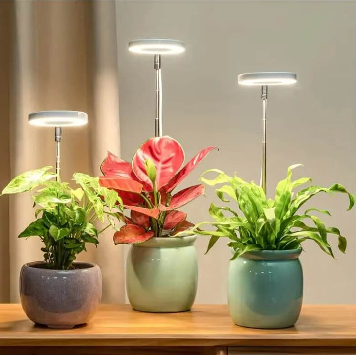 GrowBright LED Lamp